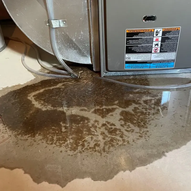 Pipe Burst and Leak Restoration in Faribault, MN